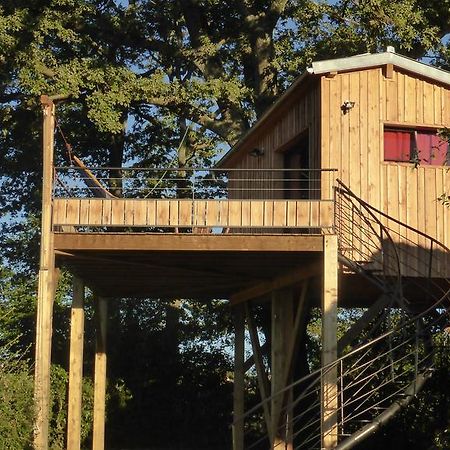 La Cabane Perchee Du Faucon Frechou-Frechet ภายนอก รูปภาพ