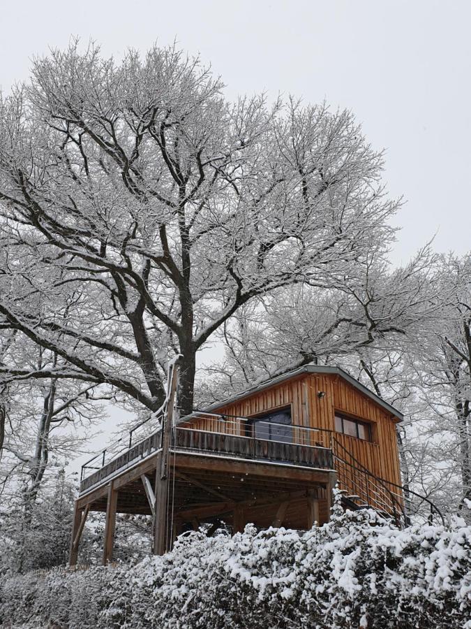 La Cabane Perchee Du Faucon Frechou-Frechet ภายนอก รูปภาพ
